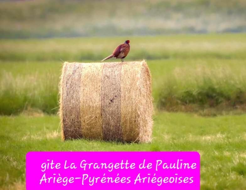Gite La Grangette De Pauline Mercus-Garrabet Eksteriør billede